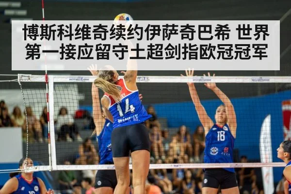 volleyball arena match